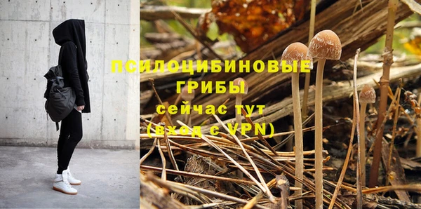 кристаллы Лагань